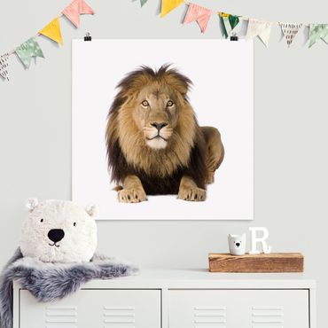 Poster - King Lion ll