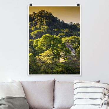 Poster forêt - Mayan Ruins