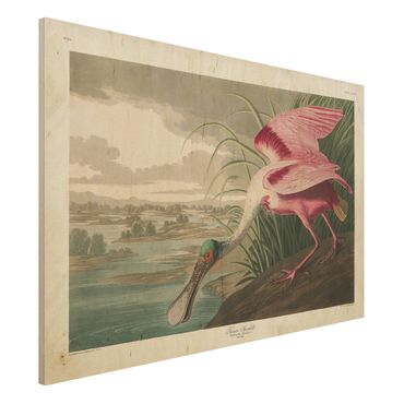 Impression sur bois - Vintage Board Pink Sturgeon