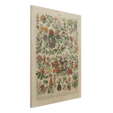 Impression sur bois - Vintage Board Flowers II
