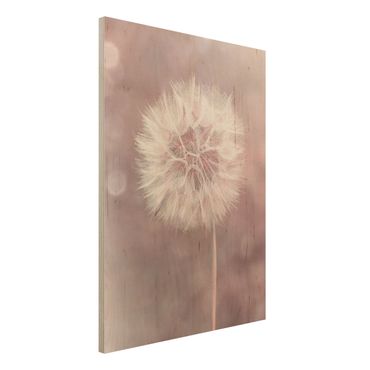 Impression sur bois - Dandelion Bokeh Light Pink