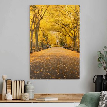 Impression sur toile - Autumn In Central Park