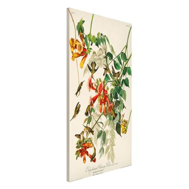 Tableau magnétique - Vintage Board Hummingbirds