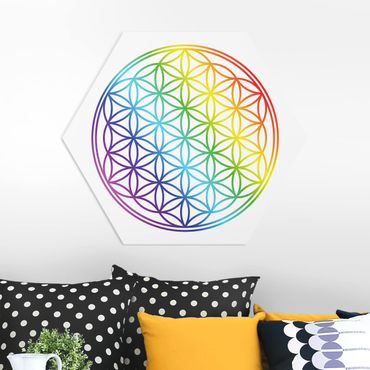 Hexagone en forex - Flower of Life rainbow color