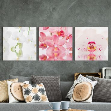 Impression sur toile 3 parties - Orchids On Water