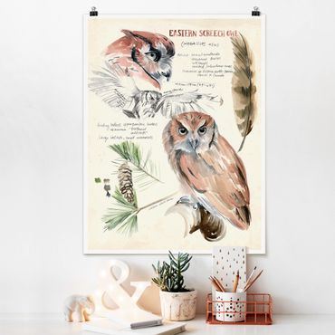 Poster fleurs - Wilderness Journal - Owl