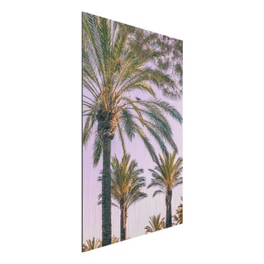 Impression sur aluminium - Palm Trees At Sunset