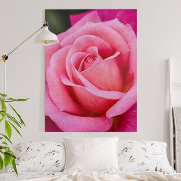 Impression sur toile - Pink Rose Flowers Green Backdrop