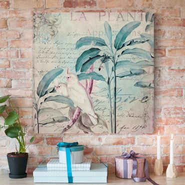 Impression sur toile - Colonial Style Collage - Cockatoos And Palm Trees