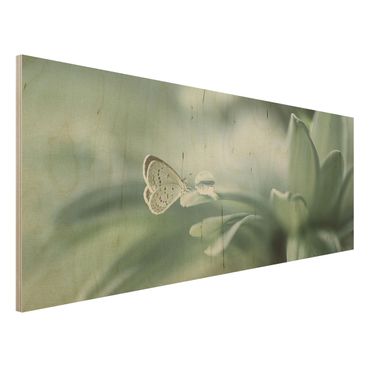 Tableau en bois - Butterfly And Dew Drops In Pastel Green