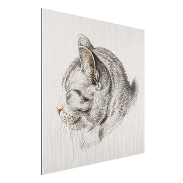 Impression sur aluminium - Vintage Drawing Cat III