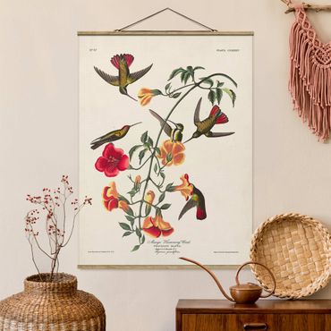 Tableau en tissu avec porte-affiche - Vintage Board Mango Hummingbirds