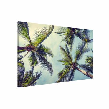 Tableau magnétique - The Palm Trees