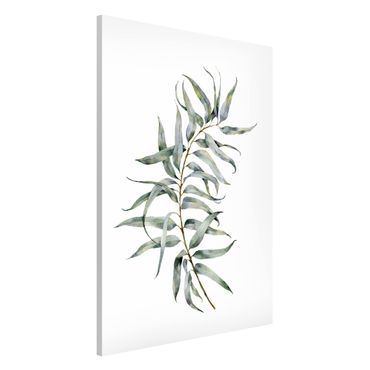 Tableau magnétique - Waterclolour Eucalyptus lV