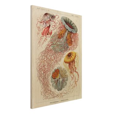 Impression sur bois - Vintage Board Jellyfish