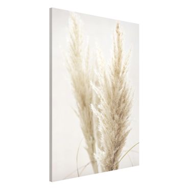 Tableau magnétique - Soft Pampas Grass