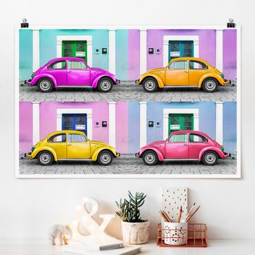 Poster - Dyed Beetles