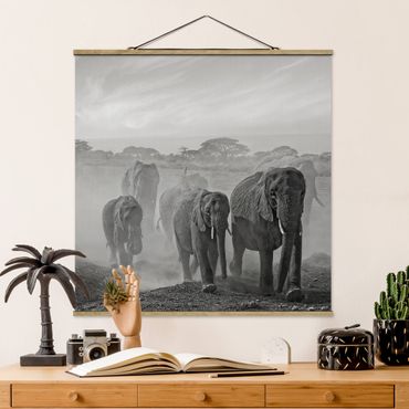 Tableau en tissu avec porte-affiche - Herd Of Elephants