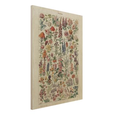 Impression sur bois - Vintage Board Flowers V