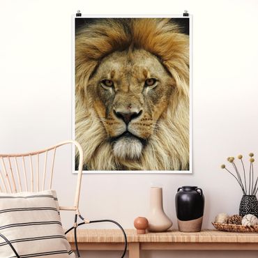 Poster animaux - Wisdom Of Lion