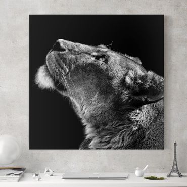 Impression sur toile - Portrait Of A Lioness