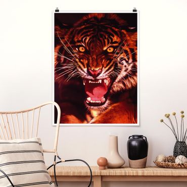 Poster animaux - Wild Tiger