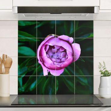 Sticker pour carrelage avec image - Purple Peonies Blossoms In Front Of Leaves