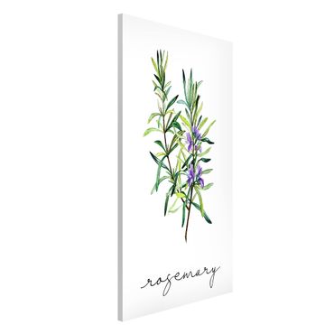 Tableau magnétique - Herbs Illustration Rosemary