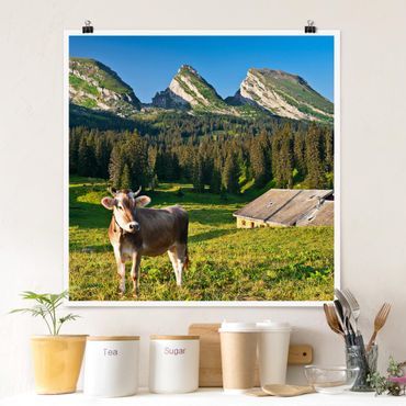 Poster - Swiss Alpine Meadow With Cow