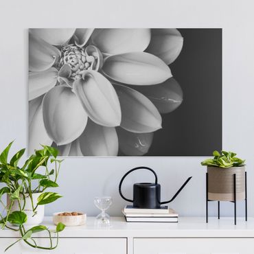 Impression sur toile - In The Heart Of A Dahlia Black And White
