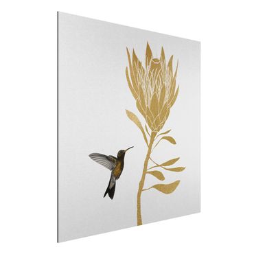 Tableau sur aluminium - Hummingbird And Tropical Golden Blossom