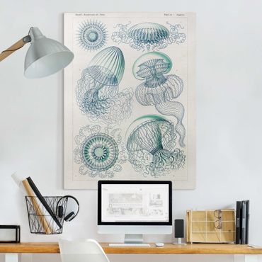 Impression sur toile - Vintage Board Jellyfish In Blue
