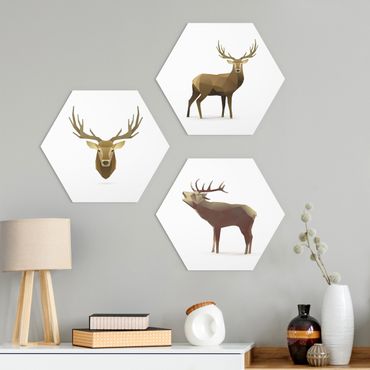 Hexagone en alu Dibond - Poligon Deer Collection