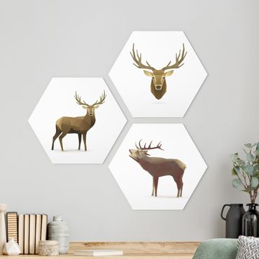 Hexagone en forex - Poligon Deer Collection