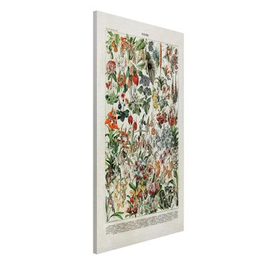 Tableau magnétique - Vintage Board Flowers III