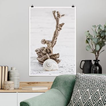 Poster - White Snail Shell And Root Wood