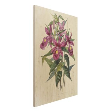 Impression sur bois - Maxim Gauci - Orchid I