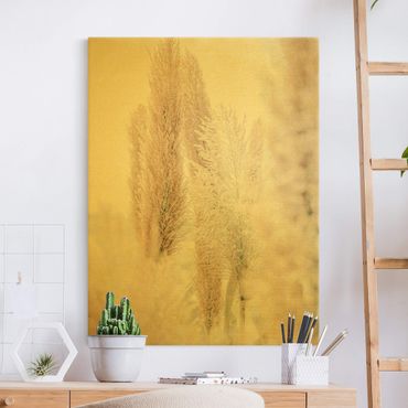 Tableau sur toile or - Pampas Grass In White Light