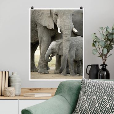 Poster animaux - Elephant Love