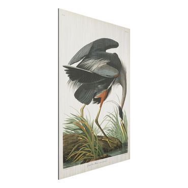 Impression sur aluminium - Vintage Board Blue Heron