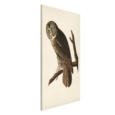 Tableau magnétique - Vintage Board Great Owl