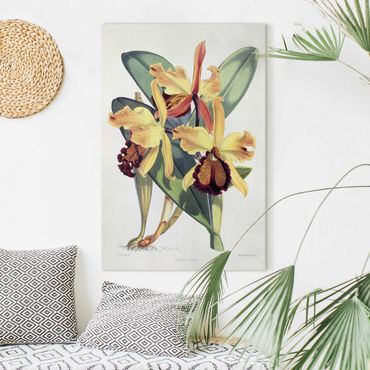 Impression sur toile - Walter Hood Fitch - Orchid