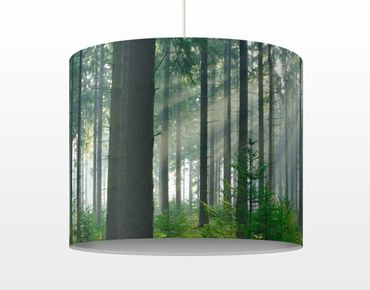 Suspension design - Enlightened Forest