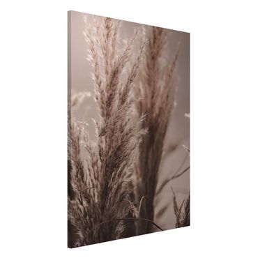 Tableau magnétique - Pampas Grass In Late Fall