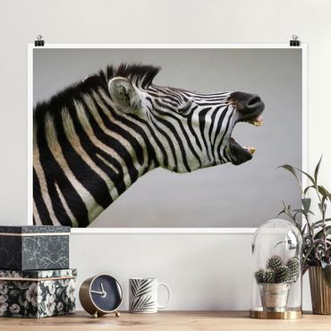 Poster - Roaring Zebra