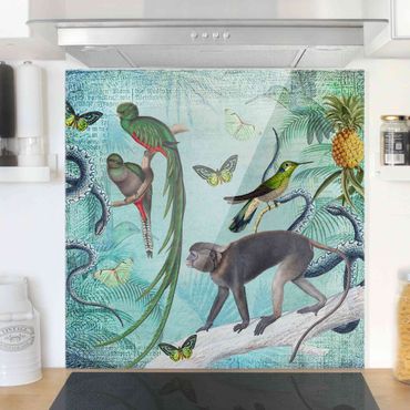 Fond de hotte - Colonial Style Collage - Monkeys And Birds Of Paradise