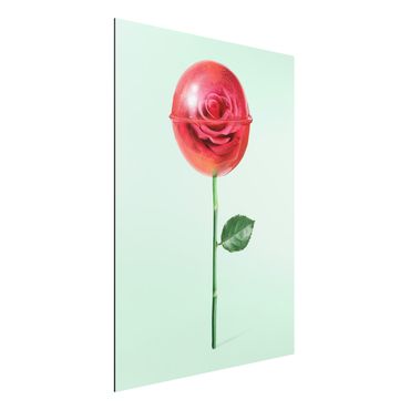 Impression sur aluminium - Rose With Lollipop
