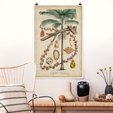 Poster - Vintage Board Exotic Palms II