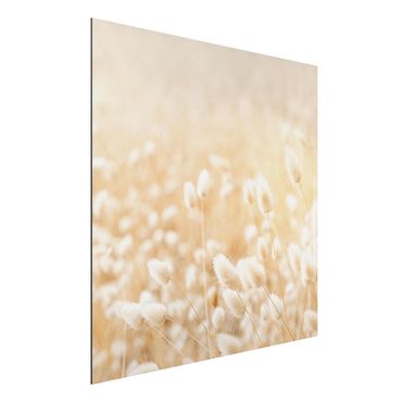 Tableau sur aluminium - Delicate Grasses