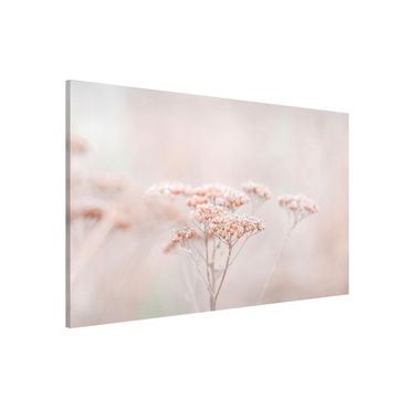 Tableau magnétique - Pale Pink Wild Flowers